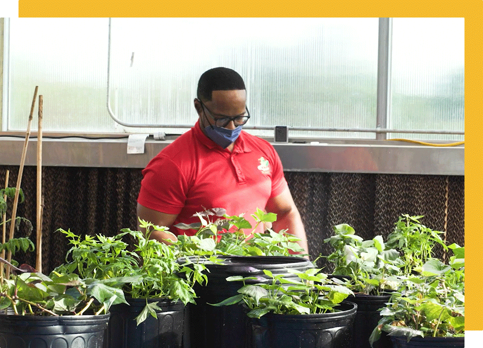 Horticulture
