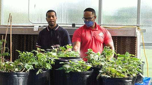 Environmental Sciences