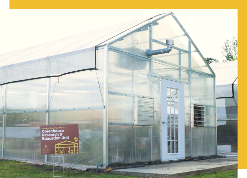 TU-environmental-nr-plant-sciences